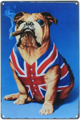 ᐉ Табличка металлическая Английский Бульдог Union Jack 20x30 см