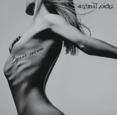 Купить пластинку Animal ДжаZ - время любящий LP по цене от 2490 руб.,  характеристики, фото, доставка