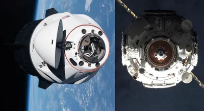 НАСА хочет, чтобы SpaceX пристыковала «Драконов» к «узлу» новой российской космической станции