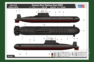 Самую большую в мире АПЛ «Дмитрий Донской» утилизируют - Газета.Ru | Новости