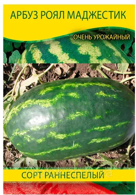 Семена арбуза Роял Маджестик, 100г: купить оптом, цена 80,97 грн/упаковка -  7 Соток