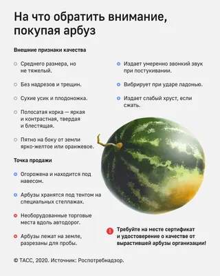 Как правильно выбрать вкусный арбуз