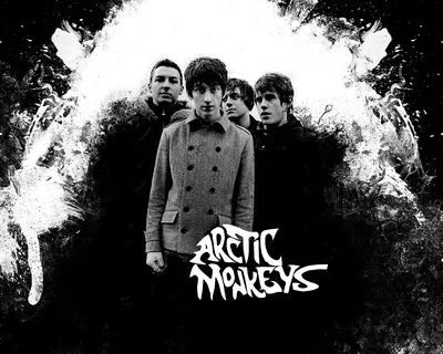 Arctic Monkeys - История группы \\ Биография \\ Фотографии »
