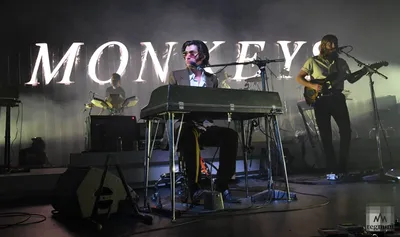 Барабанщик Arctic Monkeys заявил, что группа «берет новое начало» в музыке  - ИА REGNUM