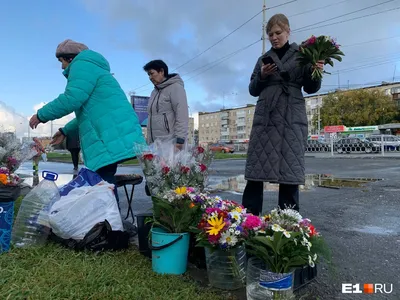 Где и за сколько купить цветы к 1 Сентября в Екатеринбурге - 31 августа  2023 - e1.ru