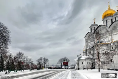 Москва | Фотографии | №2804 (Архангельский собор Кремля)