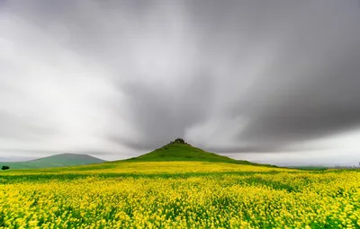 Обои гора, весна, луг, Армения картинки на рабочий стол, раздел природа -  скачать