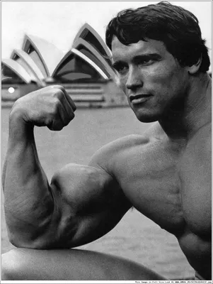 Арнольд Шварценеггер (Arnold Schwarzenegger), Франко Коломбо (Franco  Columbu), фотографии, биография, соревнования, бодибилдинг