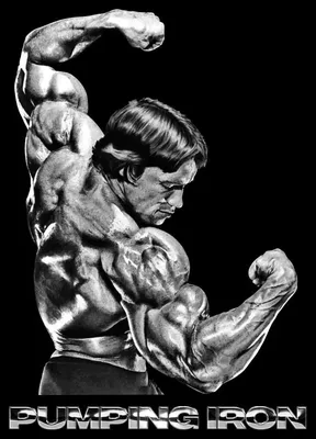 N♡T. Арнольд Шварценеггер | Arnold bodybuilding, Arnold schwarzenegger  bodybuilding, Schwarzenegger bodybuilding