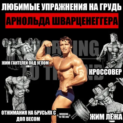 Арнольд Шварценеггер (Arnold Schwarzenegger), Опубликованы редкие  фотографии легенд бодибилдинга. 1969 Mr. Europe. Фотография Бенно Дамена.,  фотографии, биография, соревнования, бодибилдинг