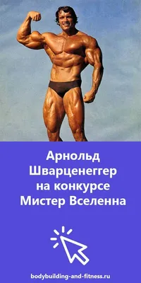 Арнольд Шварценеггер / Arnold Schwarzenegger страница 175 - Бодибилдинг  форум IronFlex - тренируйся правильно