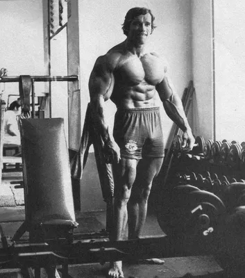 Обои arnold schwarzenegger, арнольд шварценеггер, спорт, бодибилдинг на  рабочий стол