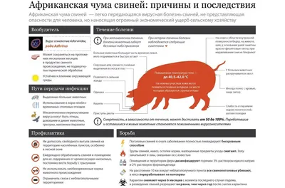 Купили поросят.Инвестиция на будущее Хоть бы не разбили.ГЛИСТЫ у Свиней.  Лечение,Препараты.Аскариды. - YouTube