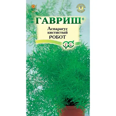 Аспарагус кистистый Робот 0,3г - Гарден Зоо - товары для сада и огорода,  загородного дома и дачи 2023 выбрать и купить с доставкой