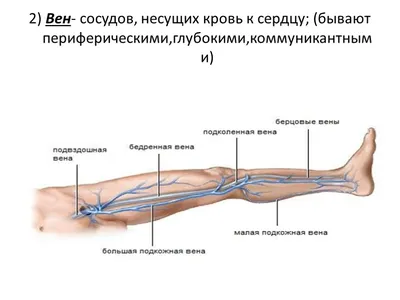 👣 Первые признаки и лечение атеросклероза нижних конечностей. Атеросклероз  нижних конечностей. 12+ - YouTube
