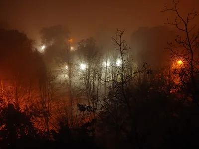Атмосферные фото ночного тумана | Пикабу