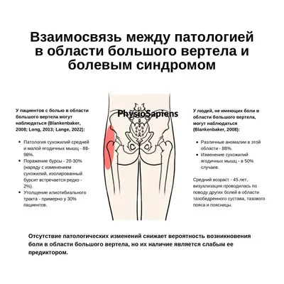 Увеличение ягодиц гиалуроновой кислотой в Москве: цены, фото до и после,  отзывы | Стоимость контурной пластики ягодиц в клинике Seline