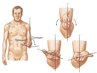 Увеличение ягодиц гиалуроновой кислотой | Nueva Clinic