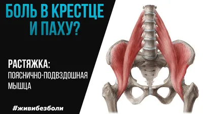 Увеличение ягодиц гиалуроновой кислотой | Nueva Clinic