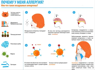 ТРУДНЫЙ ДИАГНОЗ И НЕОТЛОЖНЫЕ СОСТОЯНИЯ В КЛИНИКЕ ВНУТРЕННИХ БОЛЕЗНЕ