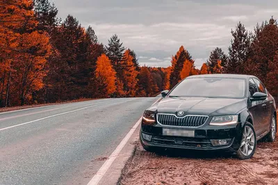 Skoda Octavia с пробегом под 200 тыс. км. Какие доработки и проблемы -  Газета.Ru