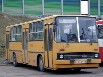 Москва, Ikarus 260 (280) № 14516 — Фото — Автобусный транспорт