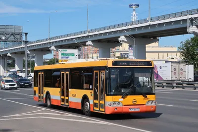 Необычный окрас московских автобусов | Колесо транспортного обозрения | Дзен