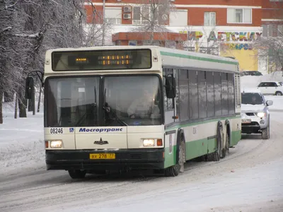 Файл:MAZ 107 066 Moscow.JPG — Википедия