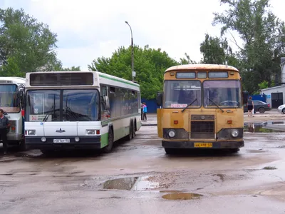 Автобусы москвы фотографии