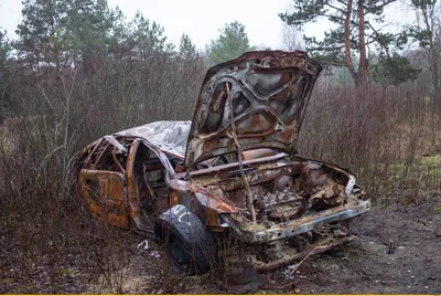 красивые картинки :: лес :: сфоткал сам :: брошенные автомобили :: в  комментариях ещё :: обои для рабочего стола :: фотопрогулка :: Заброшенный  :: автомобиль :: Природа (красивые фото природы: моря, озера,