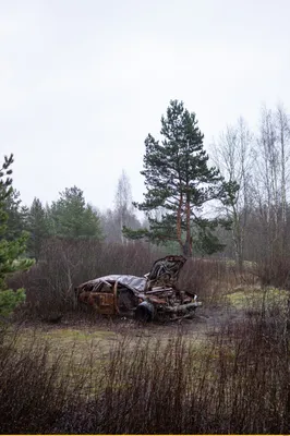 красивые картинки :: лес :: сфоткал сам :: брошенные автомобили :: в  комментариях ещё :: обои для рабочего стола :: фотопрогулка :: Заброшенный  :: автомобиль :: Природа (красивые фото природы: моря, озера,