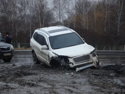 У справі про кобилу та злочинний вплив авторитет \"Жаба\" з оточення \"Льори  Сумського\" залишився без обов'язків | Dетектив INFO