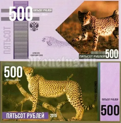 азиатский гепард стоковое изображение. изображение насчитывающей взорвать -  93890637