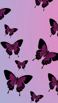 Butterfly wallpapers | Изображения заката, Розовые обои, Изображения неба