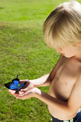 Мальчик ловит бабочек изображение_Фото номер 501446500_JPG Формат  изображения_ru.lovepik.com
