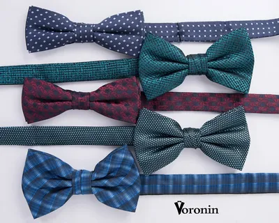 Галстук или галстук-бабочка? - Voronin — официальный интернет-магазин
