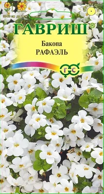 Семена Бакопа Рафаэль 3 гранулы в пробирке — отзывы, доставка Почтой России  или курьером в интернет магазине Сортовые семена.