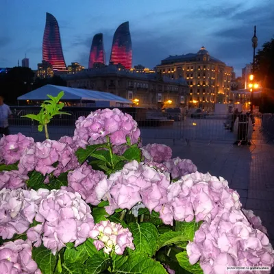 Все лучшие панорамы вечернего и ночного Баку за 4 часа — экскурсия на  «Тонкостях туризма»