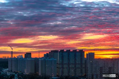 Балашиха москва фотографии