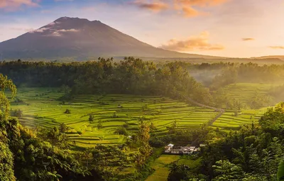 Обои Индонезия, рисовые поля, остров Бали, вулкан Агунг картинки на рабочий  стол, раздел пейзажи - скачать