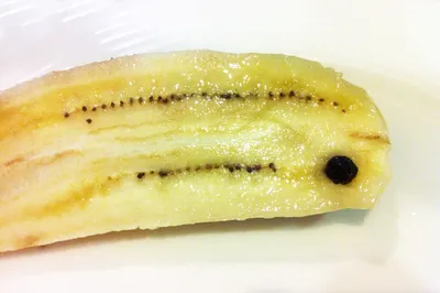 Статьи: Оказывается, у банана есть косточка! | Экскурсии в Хуа Хине с  русским гидом