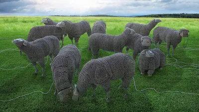 Обои на рабочий стол Отара игрушечных овец с телефонными аппаратами вместо  голов, пасется на зеленом лугу, обои для рабочего стола, скачать обои, обои  бесплатно