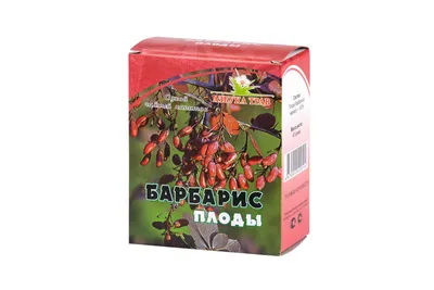 Барбарис (плоды, 40 грамм) | Магазин пчеловодства \