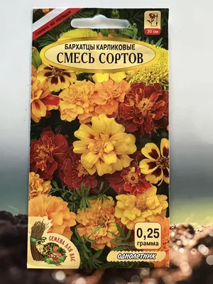Бархатцы карликовые отклоненные смесь сортов, семена цветов, СДВ Польша