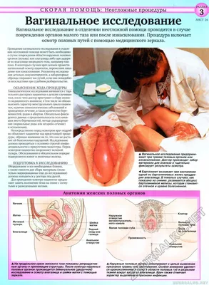 РАЗДЕЛ * СКОРАЯ ПОМОЩЬ: Неотложные процедуры * Вагинальное исследование *  ЛИСТ 26 * Анатомия женских половых органов - Тело человека №61, страница 3