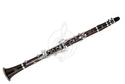 Yamaha YCL-SEV - кларнет in Bb профессиональный, чёрное дерево, ручная  работа купить, цена 200 000 руб на Yamaha YCL-SEV - кларнет in Bb  профессиональный, чёрное дерево, ручная работа доставка по России