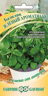 ✓ Семена Базилик Зеленый ароматный, 0,1г, Гавриш, Семена от автора по цене  35 руб. ◈ Большой выбор ◈ Купить по всей России ✓ Интернет-магазин Гавриш ☎  8-495-902-77-18