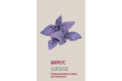 Семена Агрони Базилик МАРКУС 1199 - выгодная цена, отзывы, характеристики,  фото - купить в Москве и РФ
