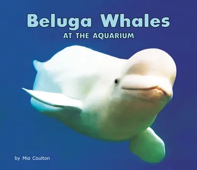 Beluga Whale - Georgia Aquarium