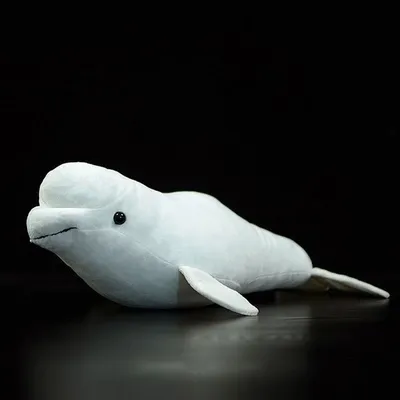 The White Beluga Whale Illustration Ornament by Ziva Viviana Doria - Pixels